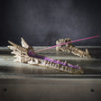 10.8" Dragon Skull Stick Incense Holder - Magick Magick.com