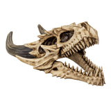 11.5" Dragon Skull Statue - Magick Magick.com