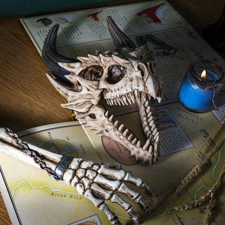 11.5" Dragon Skull Statue - Magick Magick.com