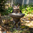 12" Flying Pig Bird Feeder Plate Garden Statue - Magick Magick.com