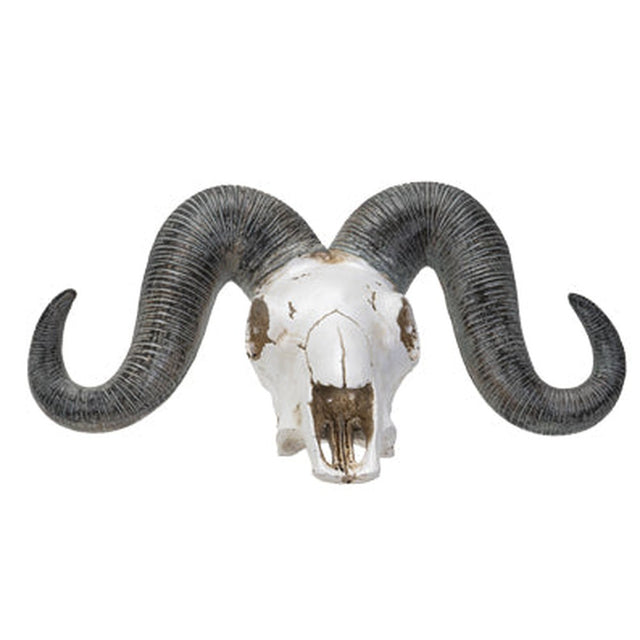 13" Ram Skull Statue - Magick Magick.com