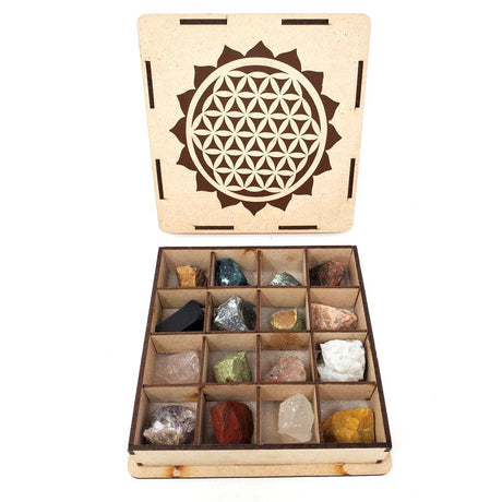 16 Gemstone Rough Stone Gift Set with Wooden Box - Magick Magick.com