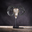 18.5" Carved Ram Skull on Stand Statue - Magick Magick.com