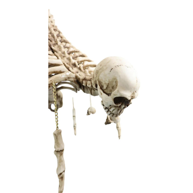 19" Skull Skeleton Bone Chandelier - Magick Magick.com