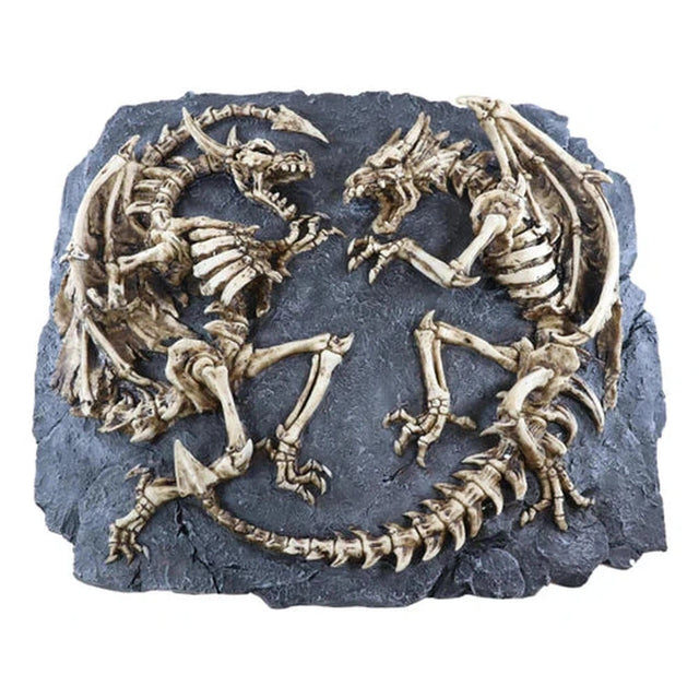 19.5" Dragon Skeleton Plaque - Magick Magick.com