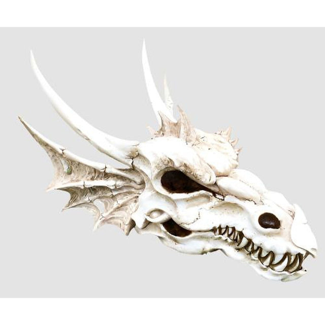 19.5" Dragon Skull Statue - Magick Magick.com