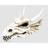 19.5" Dragon Skull Statue - Magick Magick.com