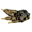 2-3" Alligator Foot - Magick Magick.com