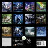 2025 Unicorns Wall Calendar by Anne Stokes - Magick Magick.com