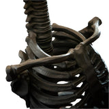 29" Black Skeleton Lamp - Magick Magick.com