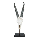 29.5" Antelope Skull on Stand Statue - Magick Magick.com