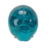 2.75" Translucent Blue Skull Statue (Pack of 4) - Magick Magick.com