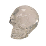 2.75" Translucent Skull Statue (Pack of 4) - Magick Magick.com