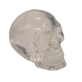 2.75" Translucent Skull Statue (Pack of 4) - Magick Magick.com