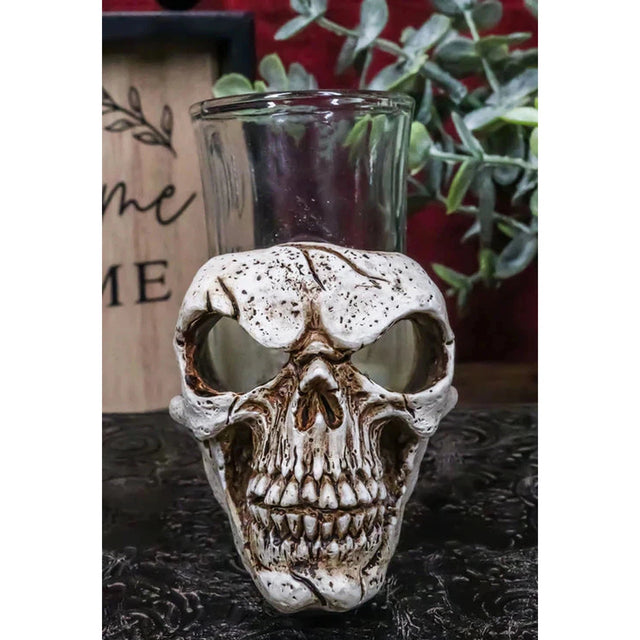 3" Resin and Glass Skull Shot Glass - Magick Magick.com