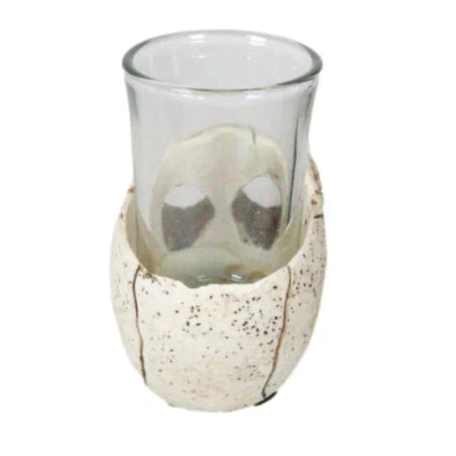 3" Resin and Glass Skull Shot Glass - Magick Magick.com