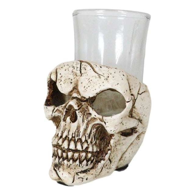 3" Resin and Glass Skull Shot Glass - Magick Magick.com