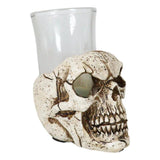 3" Resin and Glass Skull Shot Glass - Magick Magick.com