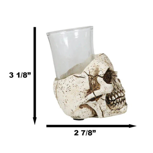 3" Resin and Glass Skull Shot Glass - Magick Magick.com