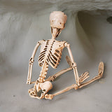 36" Hanging Skeleton - Magick Magick.com