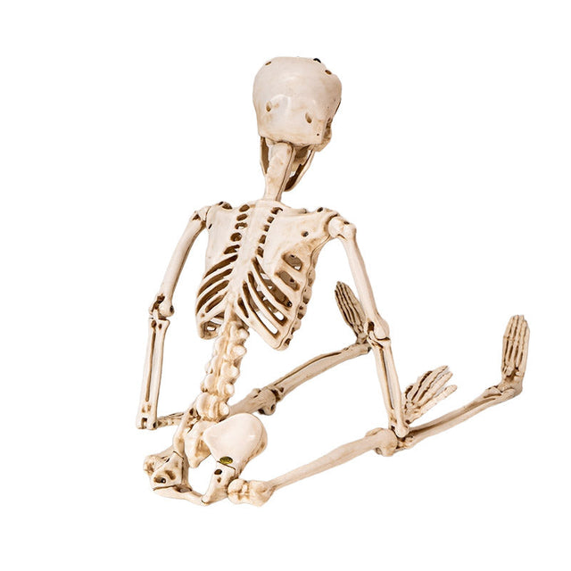 36" Hanging Skeleton - Magick Magick.com