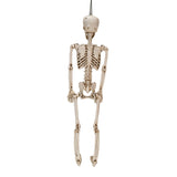 36" Hanging Skeleton - Magick Magick.com