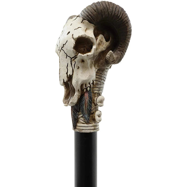 37.5" Walking Cane - Ram Horn Skull - Magick Magick.com