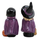 3.75" Witch & Vampire Magnetic Salt and Pepper Shakers Set - Magick Magick.com