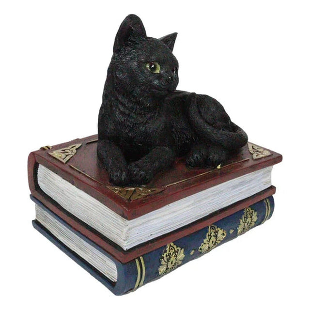 4" Black Cat on Book Resin Statue Box - Magick Magick.com