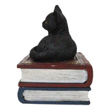 4" Black Cat on Book Resin Statue Box - Magick Magick.com