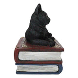 4" Black Cat on Book Resin Statue Box - Magick Magick.com