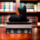 4" Black Cat on Book Resin Statue Box - Magick Magick.com