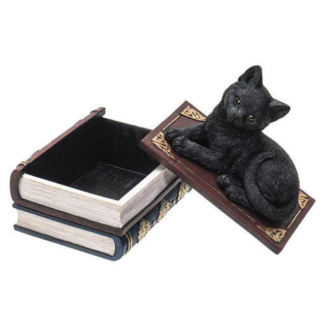 4" Black Cat on Book Resin Statue Box - Magick Magick.com