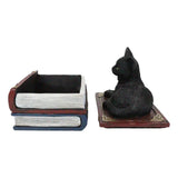 4" Black Cat on Book Resin Statue Box - Magick Magick.com