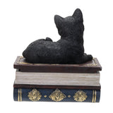 4" Black Cat on Book Resin Statue Box - Magick Magick.com