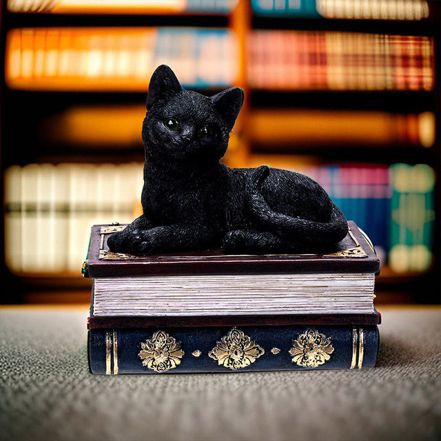 4" Black Cat on Book Resin Statue Box - Magick Magick.com