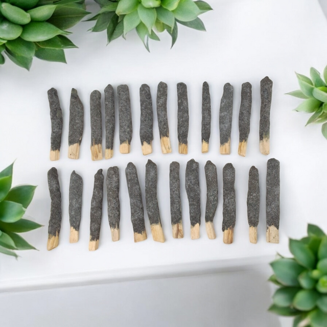 4" Black Copal Dipped Palo Santo Sticks (5 Pack) - Magick Magick.com