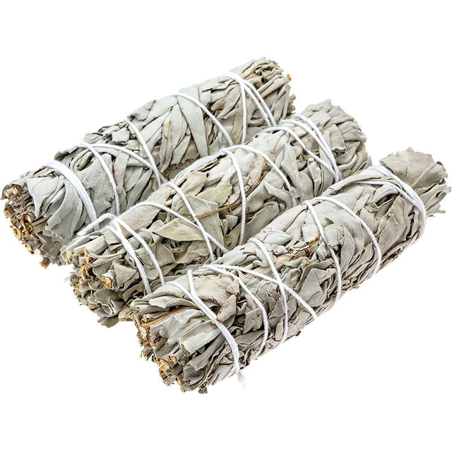 4" California White Sage Smudge Stick (12 Pack) - Magick Magick.com