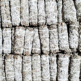 4" California White Sage Smudge Stick (24 Pack) - Magick Magick.com