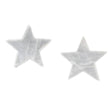 4" Selenite Charging Plate / Altar Tile - Star - Magick Magick.com