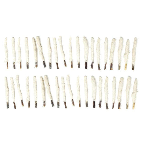 4" White Copal Dipped Natural Sage Tree Branch Sticks (5 Pack) - Magick Magick.com