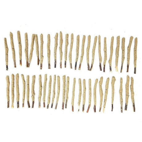 4" White Sage Dipped Natural Sage Tree Branch Sticks (5 Pack) - Magick Magick.com