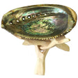 5-6" Abalone Shell with Natural Wooden Tripod - Magick Magick.com