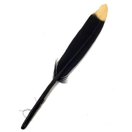5-6" Black Feather with Golden Tip - Magick Magick.com