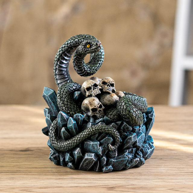 5.7" Snake and Skulls Display Box - Magick Magick.com