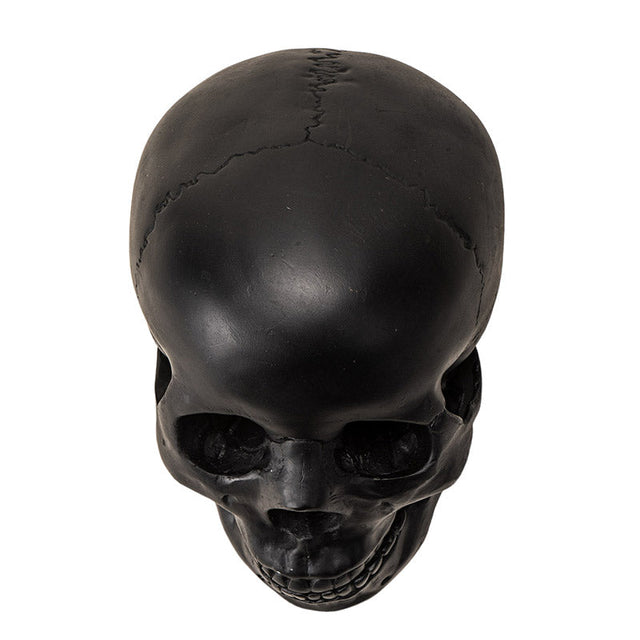 7.3" Black Skull Statue - Magick Magick.com
