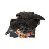 7.68" Raven on Skull and Books Statue - Magick Magick.com