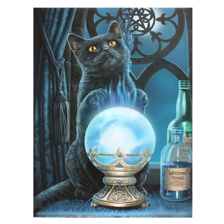 9.8" Lisa Parker Canvas Print - The Witches Apprentice Cat - Magick Magick.com
