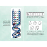 Activating Our 12-Stranded DNA by Ruslana Remennikova - Magick Magick.com