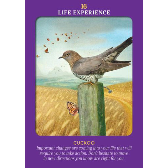 Animal Guides Tarot by Radleigh Valentine - Magick Magick.com